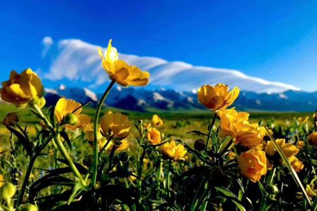 行攝伊犁：喀拉峻、天鵝湖、沙漠胡楊深度9日